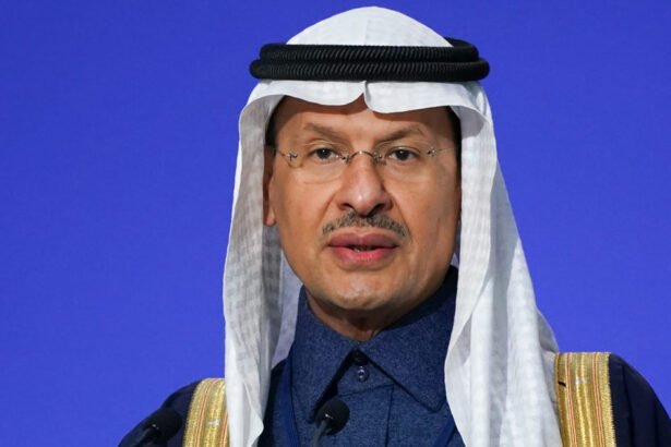 وزير الطاقة السعودي