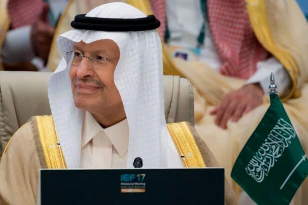 الأمير عبدالعزيز بن سلمان بن عبدالعزيز، وزير الطاقة، وزير الصناعة والثروة المعدنية